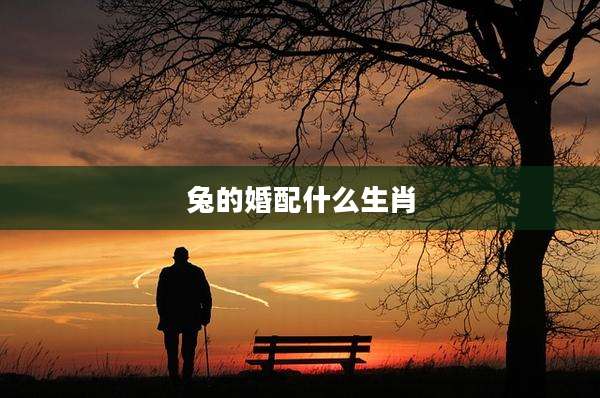 兔的婚配什么生肖