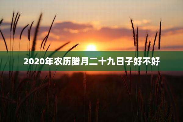 2020年农历腊月二十九日子好不好