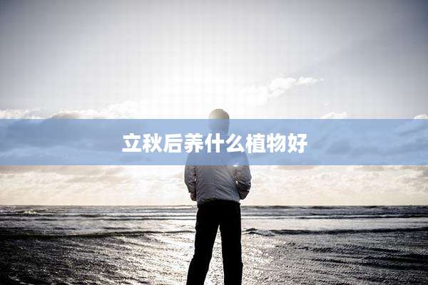 立秋后养什么植物好
