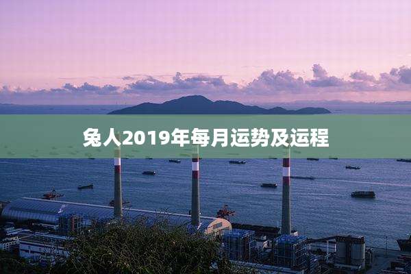 兔人2019年每月运势及运程