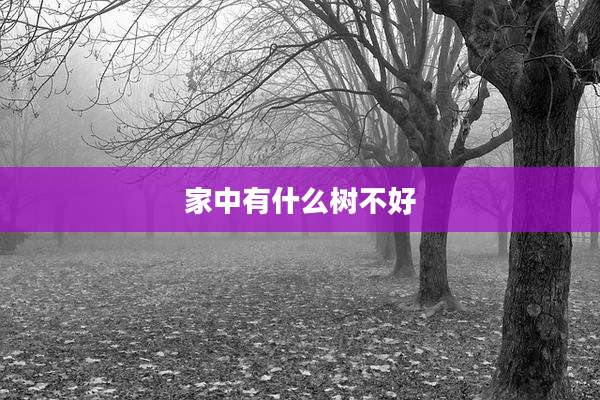 家中有什么树不好