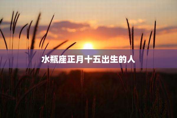 水瓶座正月十五出生的人