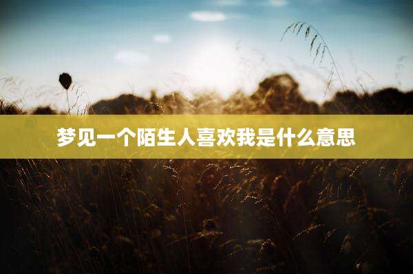 梦见一个陌生人喜欢我是什么意思