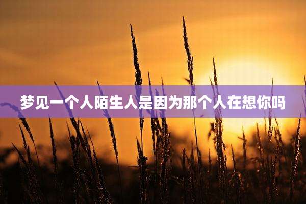 梦见一个人陌生人是因为那个人在想你吗