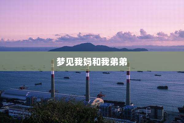 梦见我妈和我弟弟