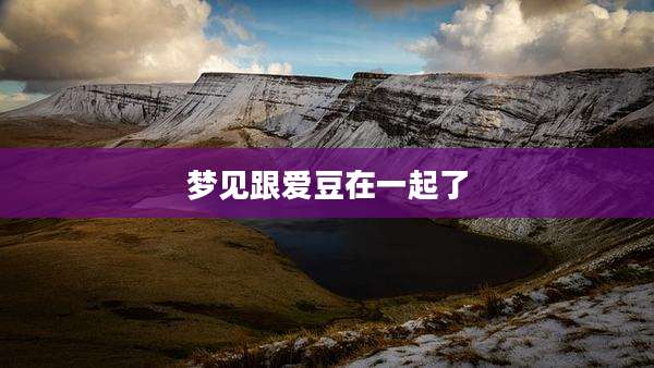 梦见跟爱豆在一起了