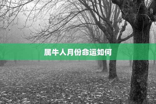 属牛人月份命运如何