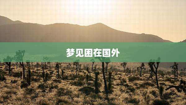梦见困在国外