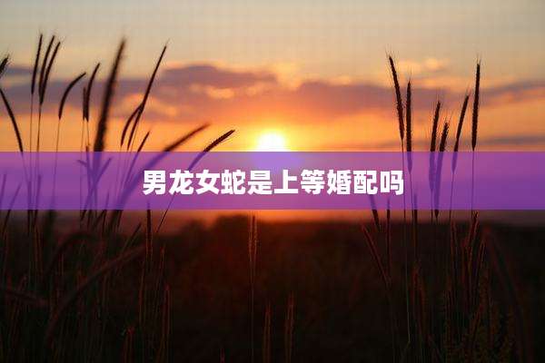 男龙女蛇是上等婚配吗