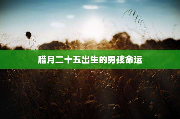 腊月二十五出生的男孩命运