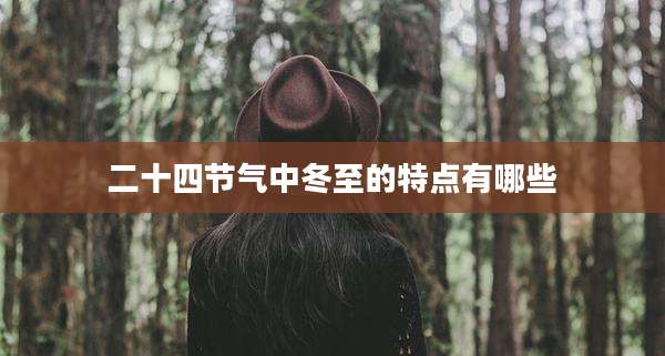 二十四节气中冬至的特点有哪些