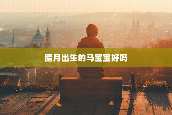 腊月出生的马宝宝好吗