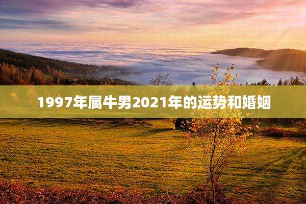 1997年属牛男2021年的运势和婚姻