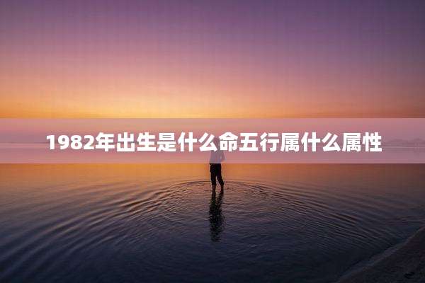 1982年出生是什么命五行属什么属性