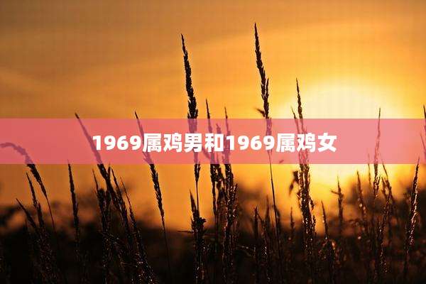 1969属鸡男和1969属鸡女