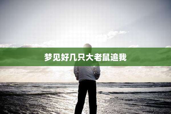 梦见好几只大老鼠追我