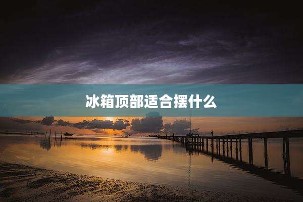 冰箱顶部适合摆什么