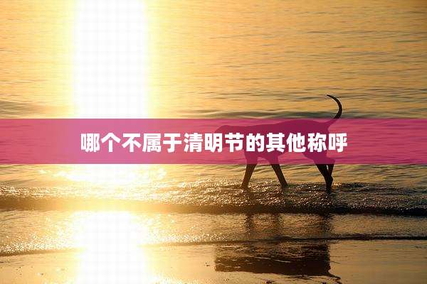 哪个不属于清明节的其他称呼