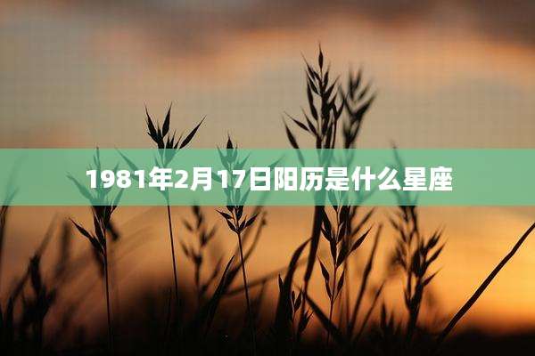 1981年2月17日阳历是什么星座