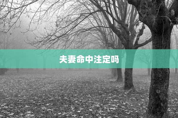 夫妻命中注定吗