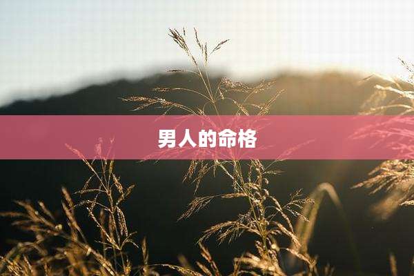 男人的命格