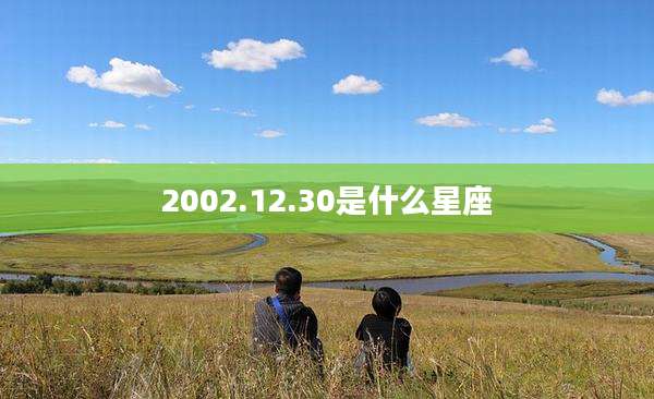 2002.12.30是什么星座