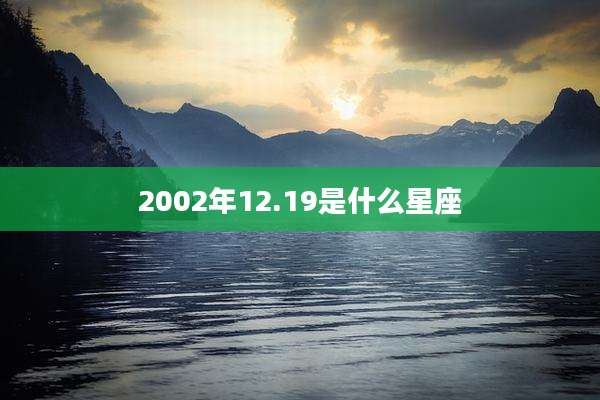 2002年12.19是什么星座