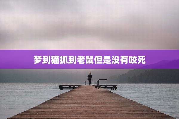 梦到猫抓到老鼠但是没有咬死