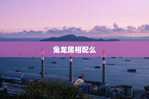 兔龙属相配么
