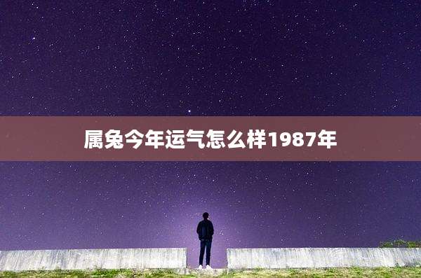 属兔今年运气怎么样1987年
