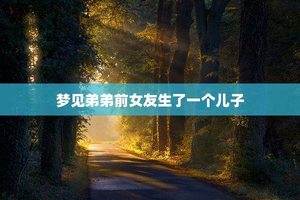 梦见弟弟前女友生了一个儿子