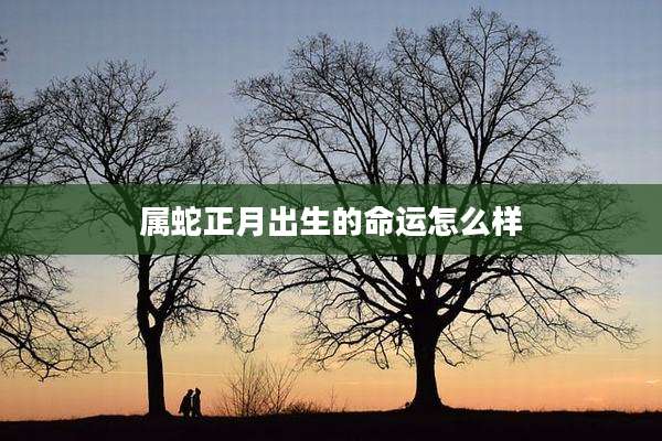 属蛇正月出生的命运怎么样