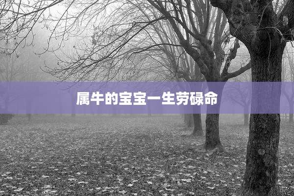 属牛的宝宝一生劳碌命