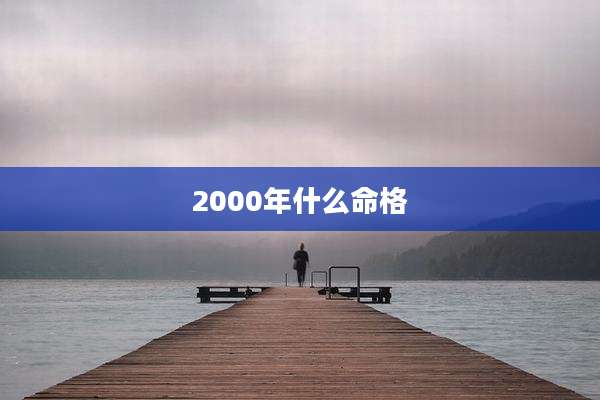2000年什么命格