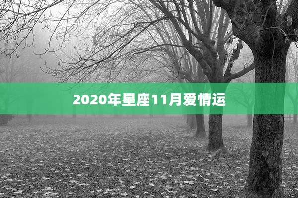 2020年星座11月爱情运