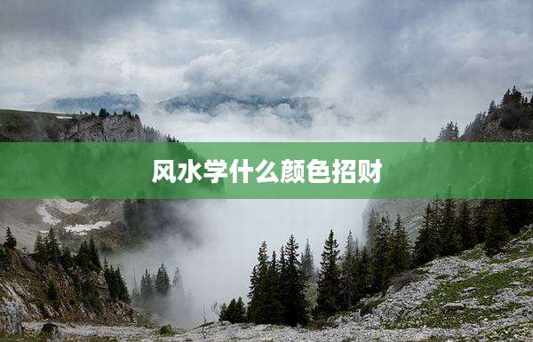 风水学什么颜色招财