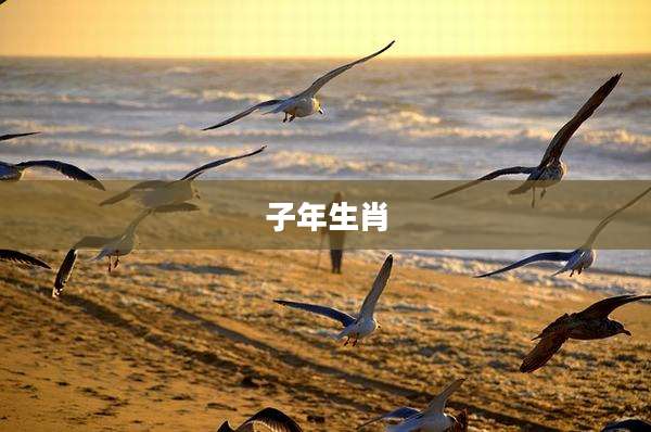 子年生肖
