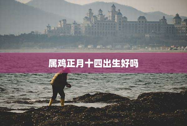 属鸡正月十四出生好吗