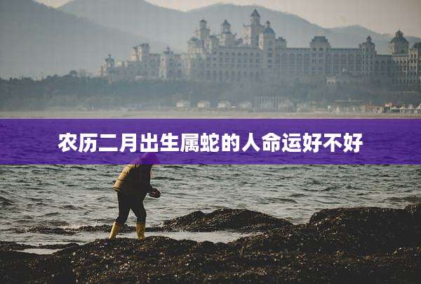 农历二月出生属蛇的人命运好不好