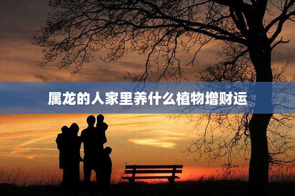 属龙的人家里养什么植物增财运