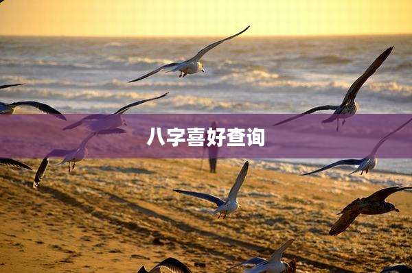 八字喜好查询