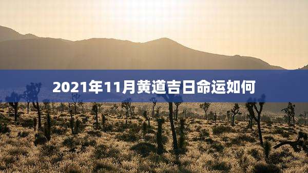 2021年11月黄道吉日命运如何
