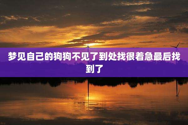 梦见自己的狗狗不见了到处找很着急最后找到了