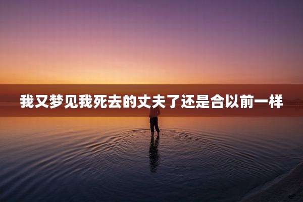 我又梦见我死去的丈夫了还是合以前一样