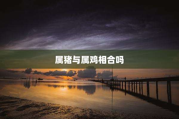属猪与属鸡相合吗
