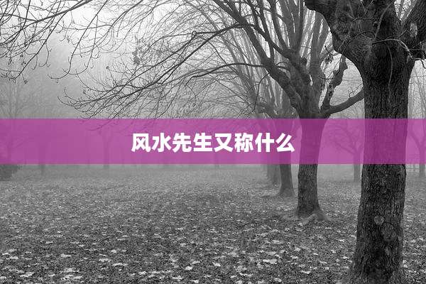 风水先生又称什么