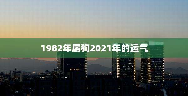 1982年属狗2021年的运气