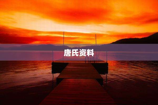 唐氏资料