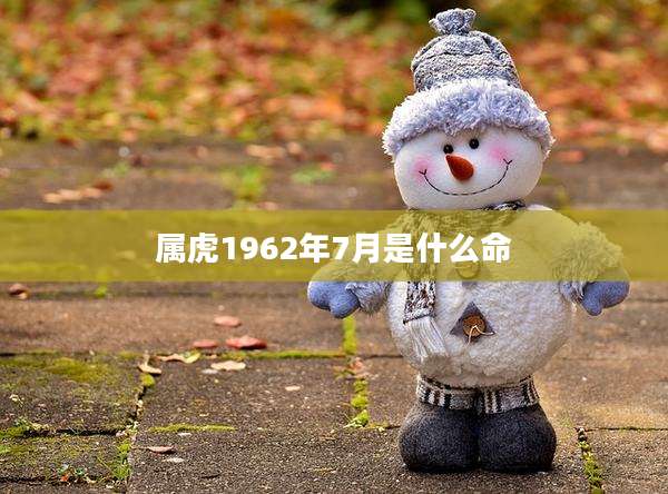 属虎1962年7月是什么命