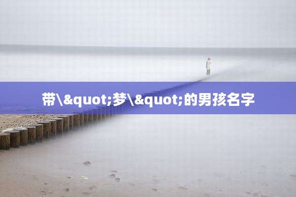 带\"梦\"的男孩名字